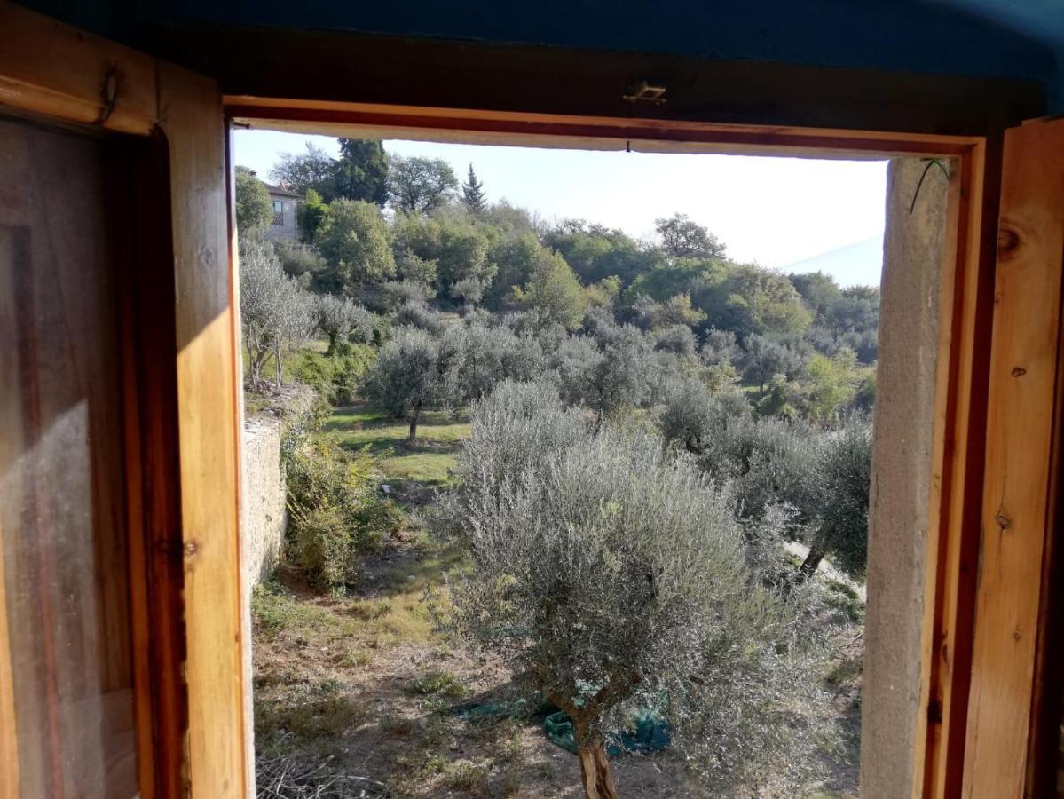 Agriturismo Casamatta Azienda Agricola Calenzano Exterior foto