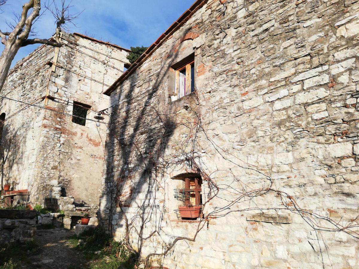 Agriturismo Casamatta Azienda Agricola Calenzano Exterior foto