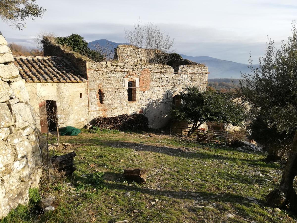 Agriturismo Casamatta Azienda Agricola Calenzano Exterior foto