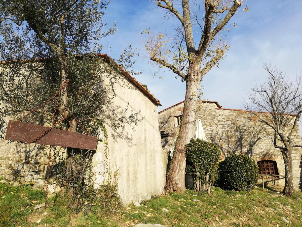 Agriturismo Casamatta Azienda Agricola Calenzano Exterior foto
